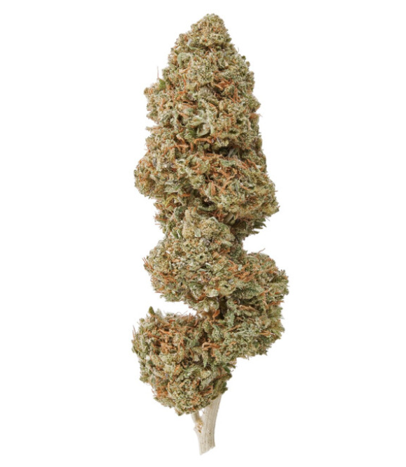 "Otto II BaOx" CBD Tri-Crop Hemp Strain — Non Feminized Seed Packs